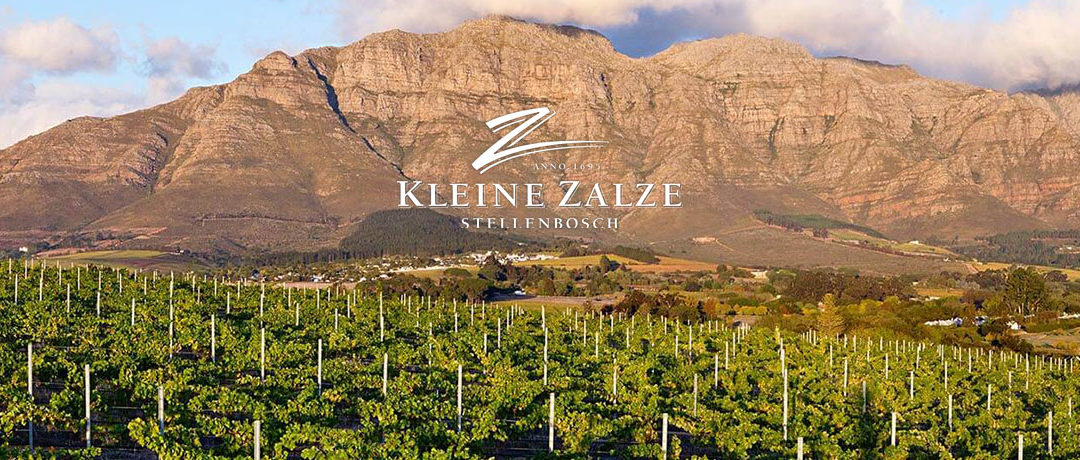 AdVini South Africa acquiert Kleine Zalze Wines