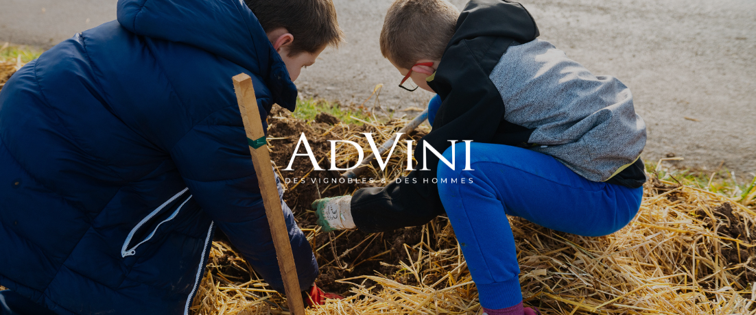 Agroforesterie : AdVini plante 700 arbres avec l’association « Des enfants et des arbres »