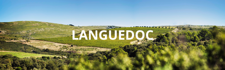 Bandeau - Languedoc